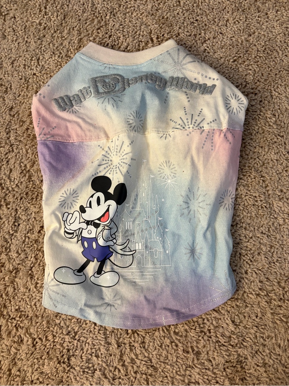 Disney Tails 100th Anniversary Pet Spirit Jersey